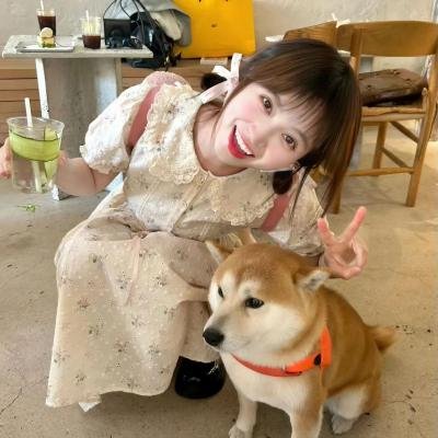 嘘,国王在冬眠